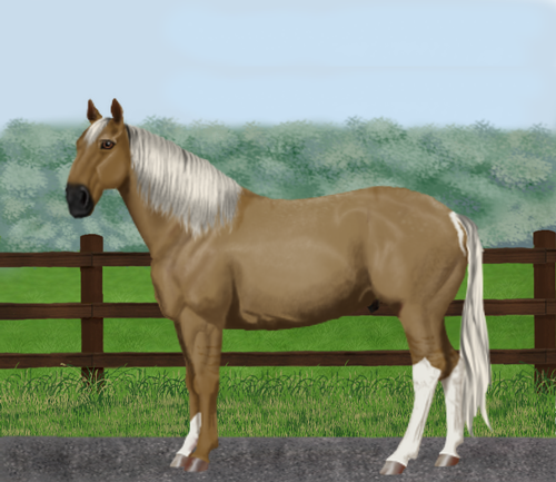 horse image