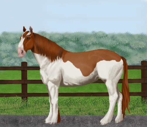 horse image