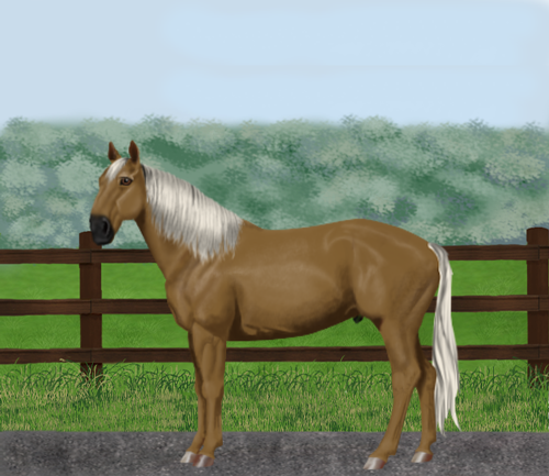 horse image