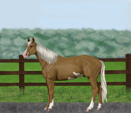 horse image