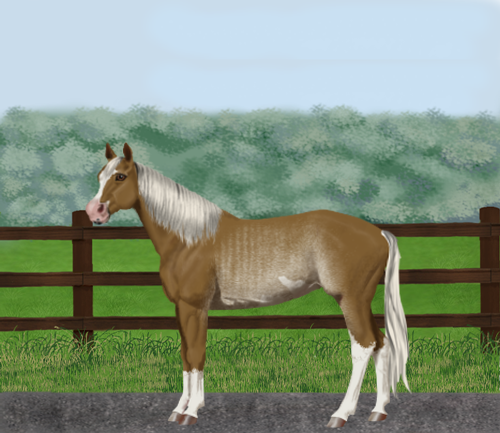 horse image