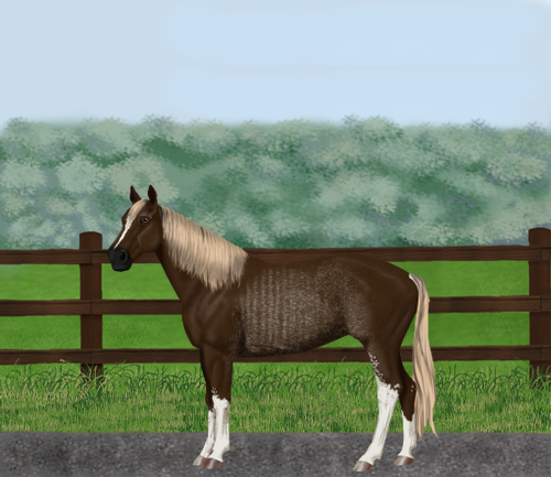 horse image