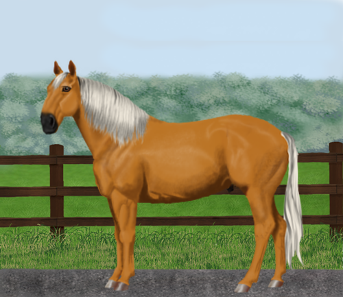 horse image