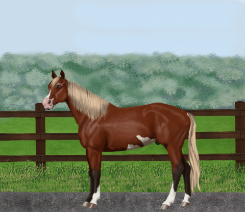 horse image