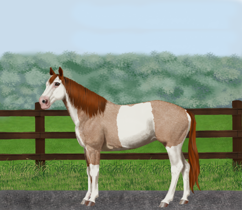 horse image