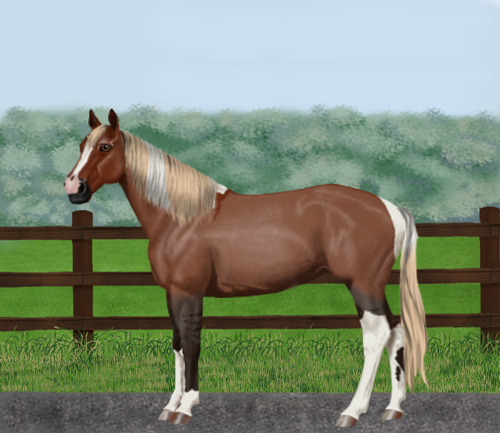 horse image