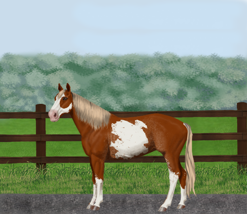 horse image