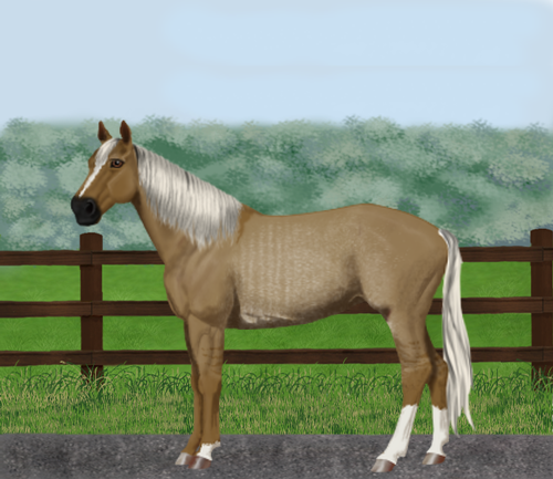 horse image