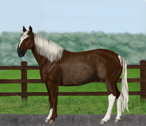 horse image