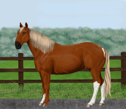 horse image