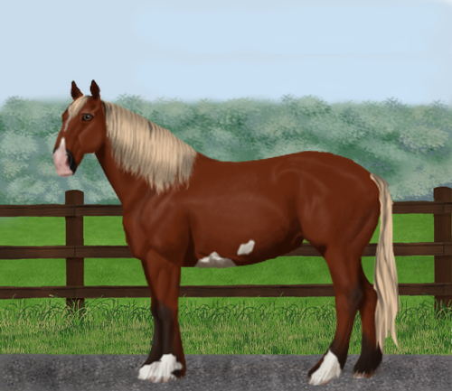 horse image