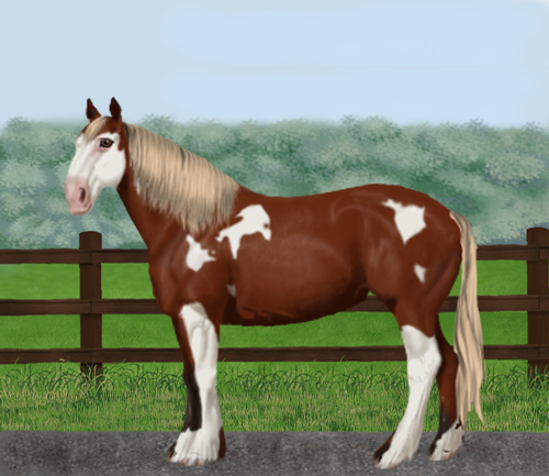 horse image