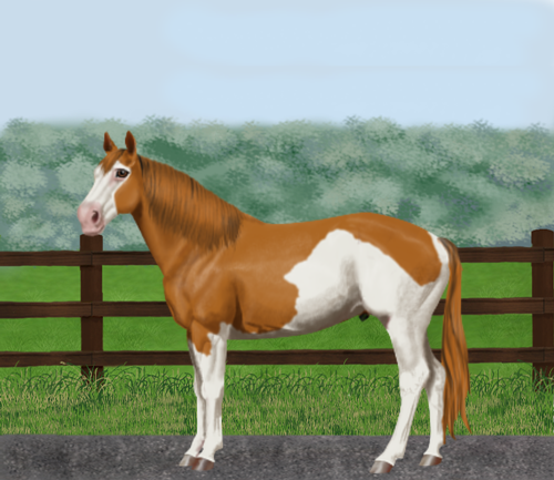 horse image