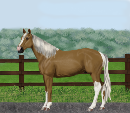 horse image