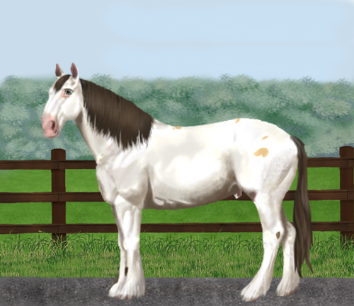 horse image