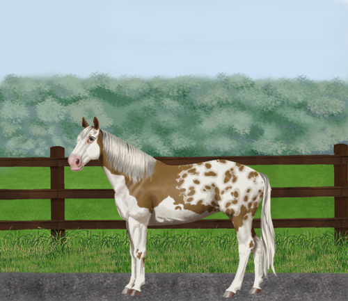 horse image