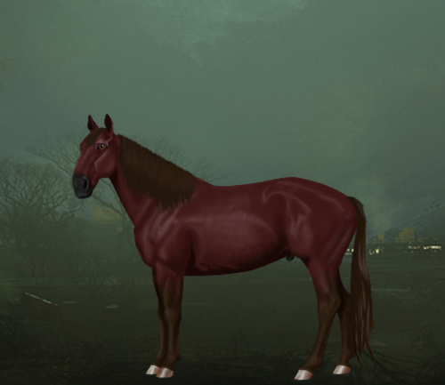 horse image