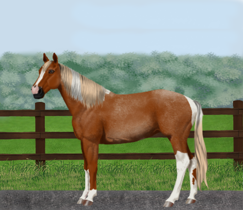 horse image