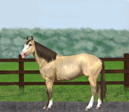 horse image