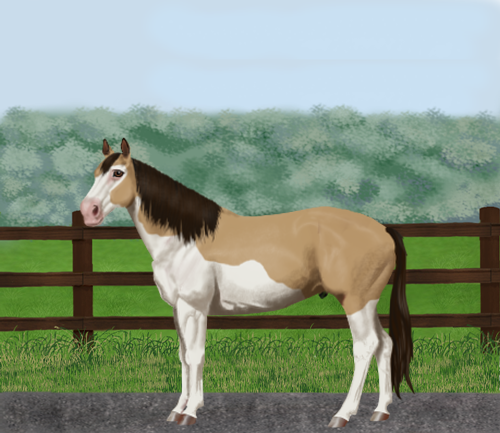 horse image