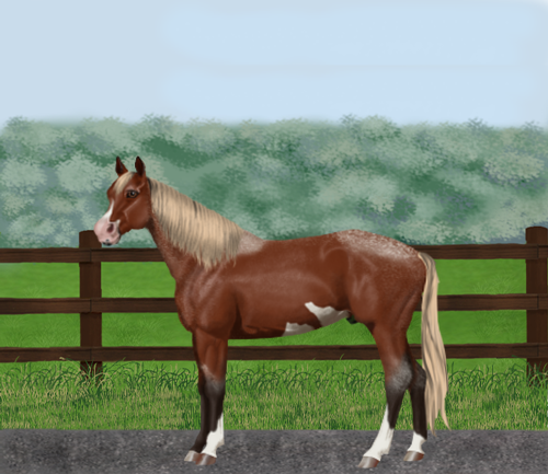 horse image