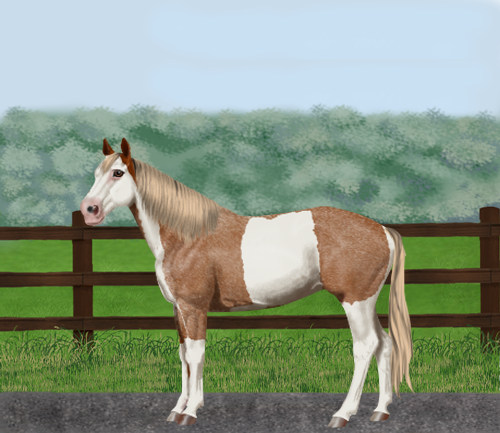 horse image