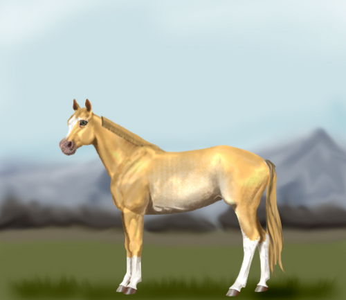 horse image