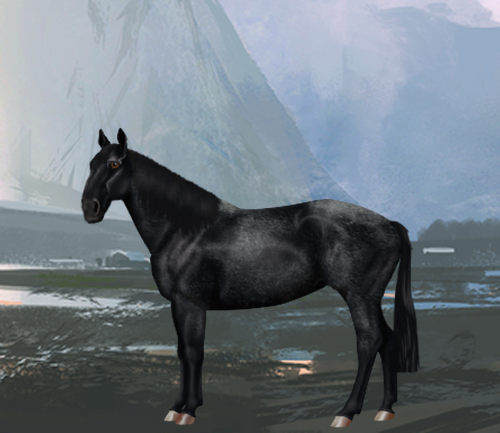 horse image