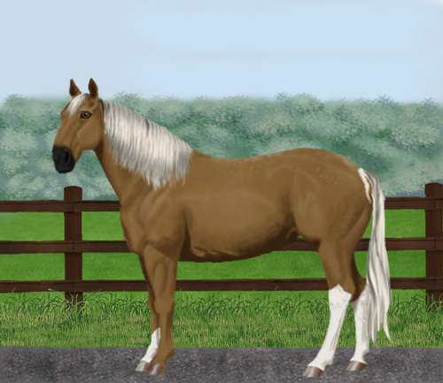 horse image