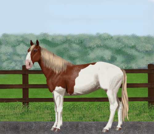 horse image