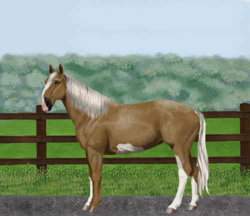 horse image