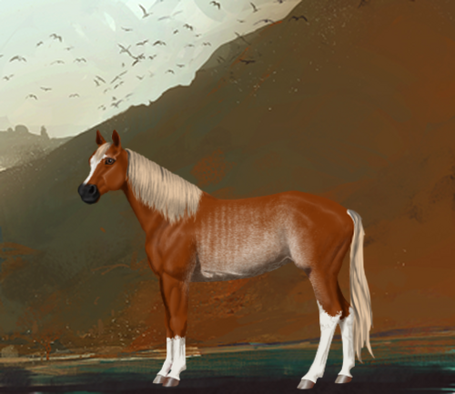 horse image