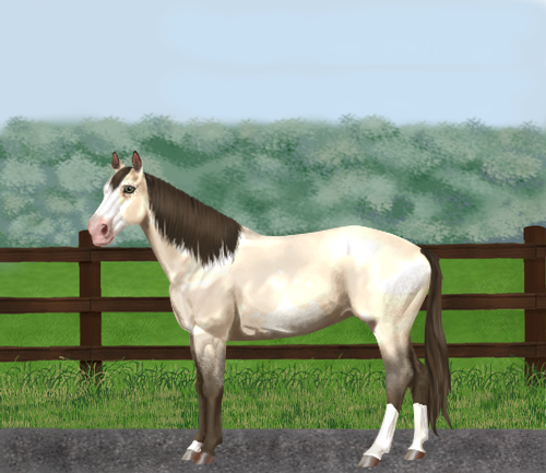 horse image