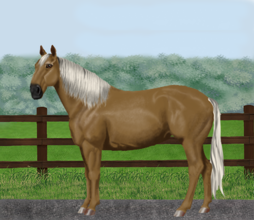 horse image