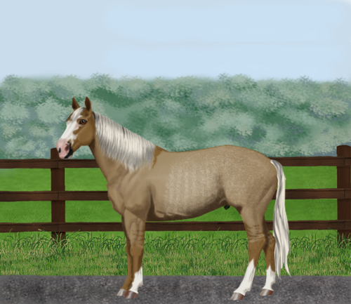 horse image