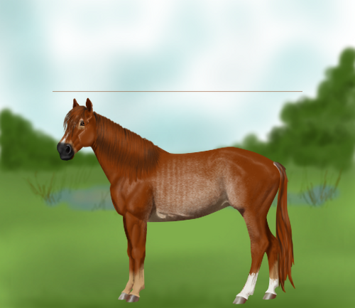 horse image