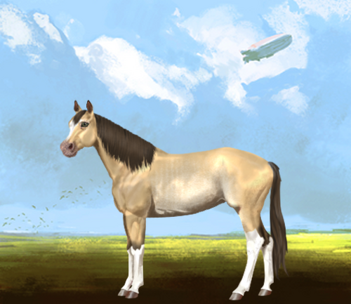 horse image