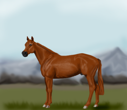 horse image