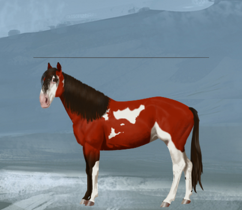 horse image