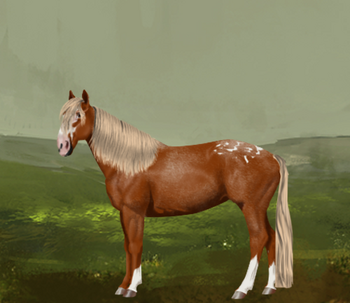 horse image