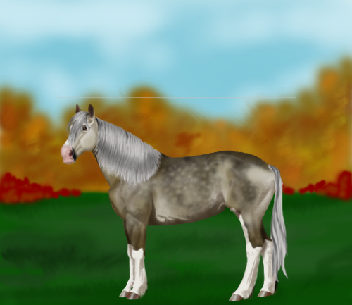 horse image