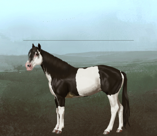 horse image