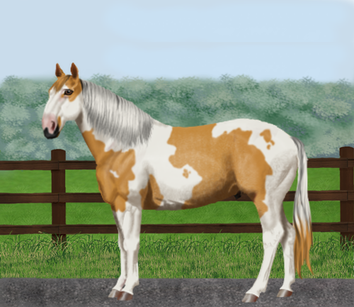 horse image