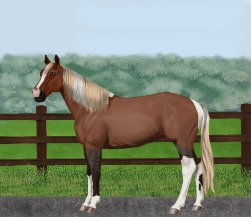 horse image