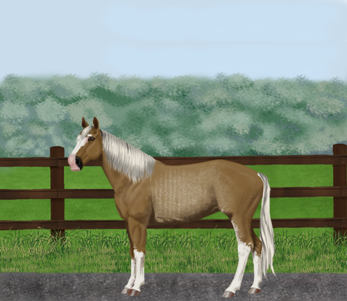 horse image