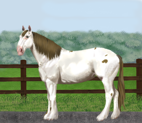 horse image