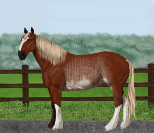 horse image