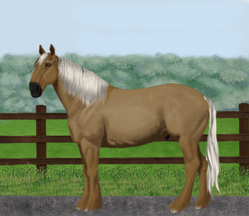 horse image