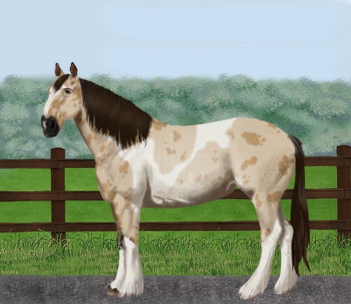 horse image