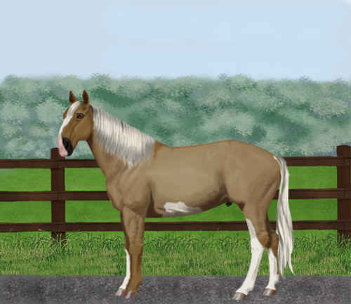 horse image